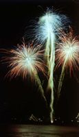 silvester.jpg