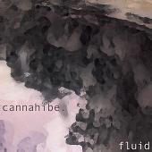 cannahibe-fluid_mini.jpg