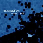 summer_run_mini.JPG